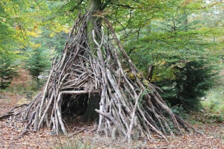 How To Build a Bushcraft Shelter